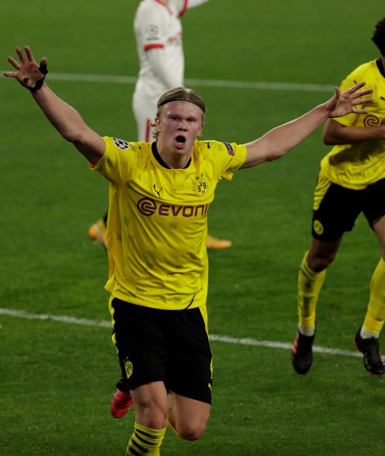 仅仅是对陈 仅仅是对陈